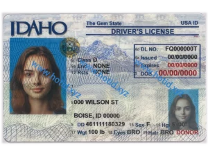 Idaho