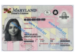 Maryland
