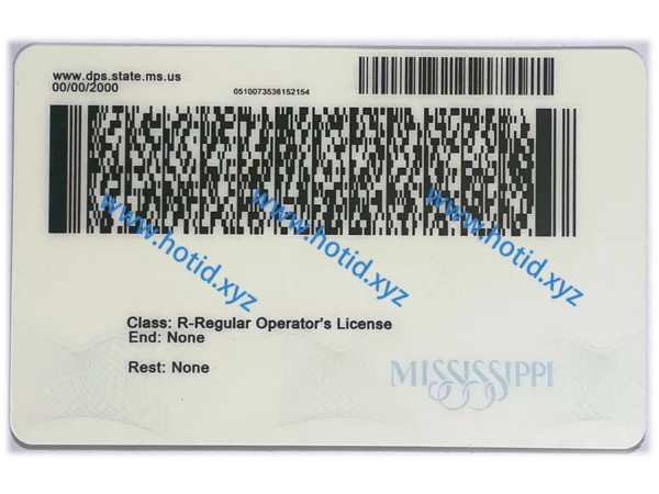 Mississippi - Image 2